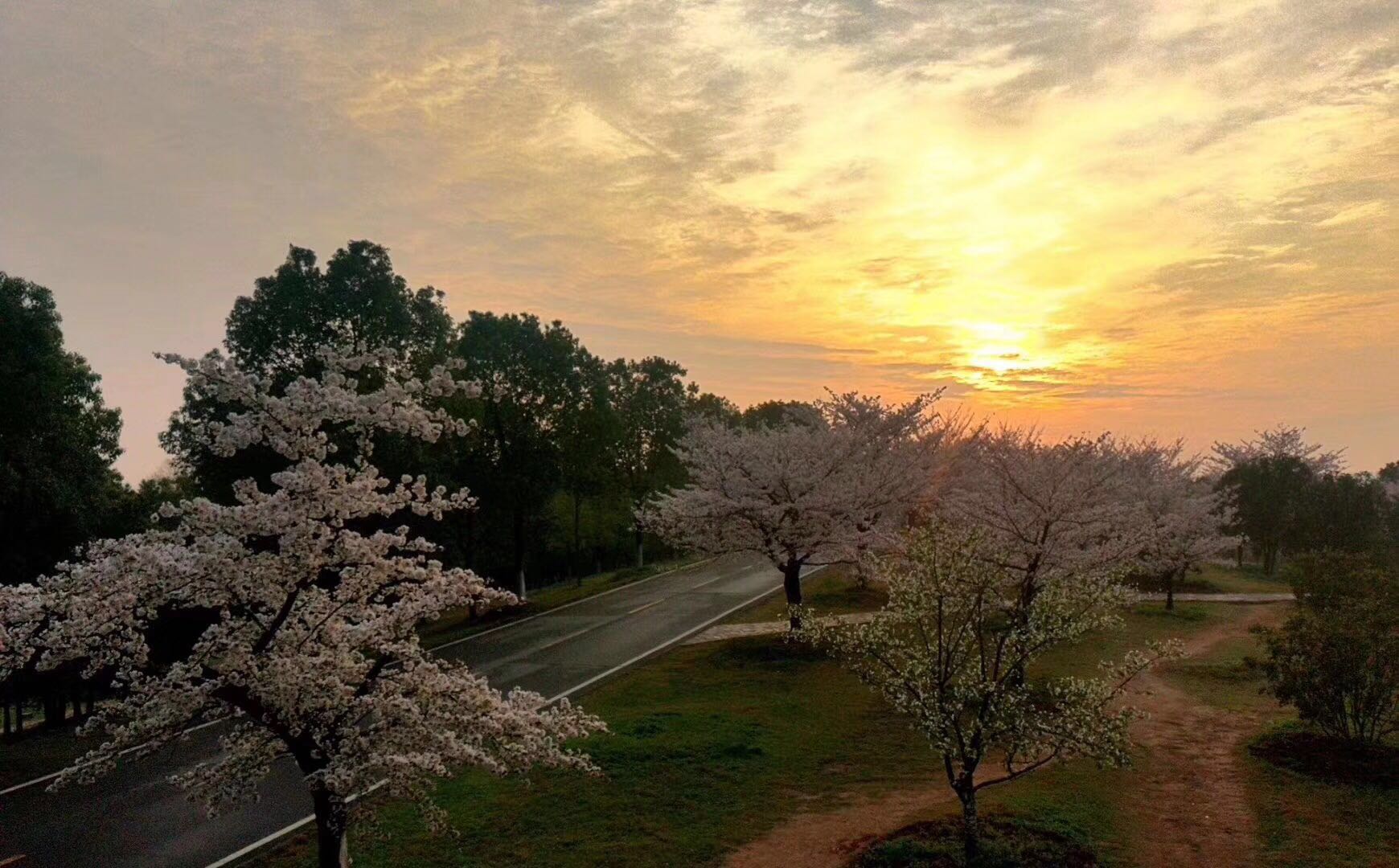 湖北第二师范学院自考